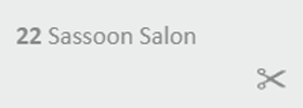 Sassoon Salon